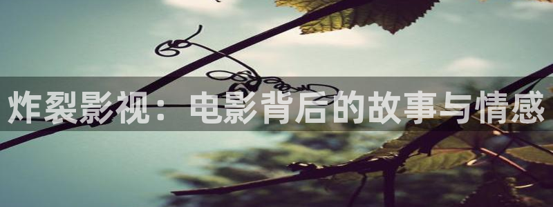 樱桃视频.com：炸裂影视：电影背后的故事与情感