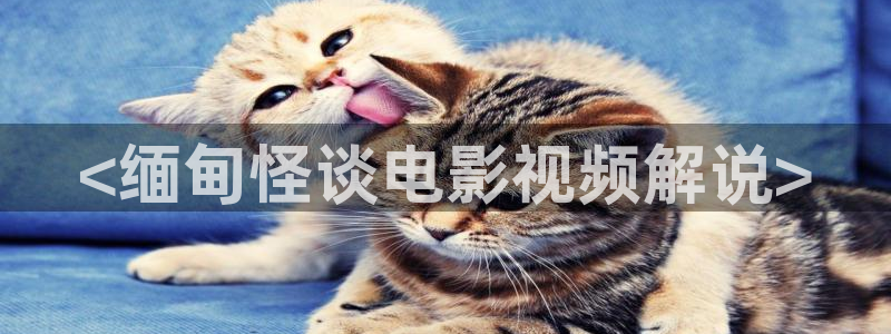 '樱桃视频大全在线视频