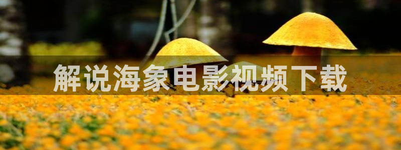 樱桃大连樱桃：解说海象电影视频下载