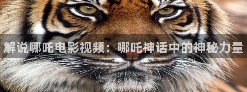 樱桃电视剧全集免费播放：解说哪吒电影视频：哪吒神话中的神秘力量