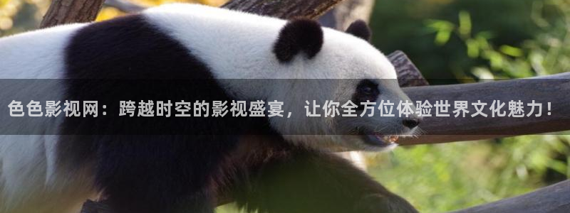 樱桃电视剧免费观看无广告软件：色色影视网：跨越时空的影视盛宴，让你全方位体验世界文化魅力！