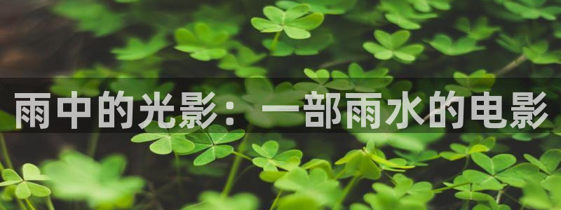 樱桃视频高清免费大全：雨中的光影：一部雨水的电影