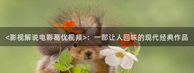 樱桃影院免费观看电视剧大全在线观